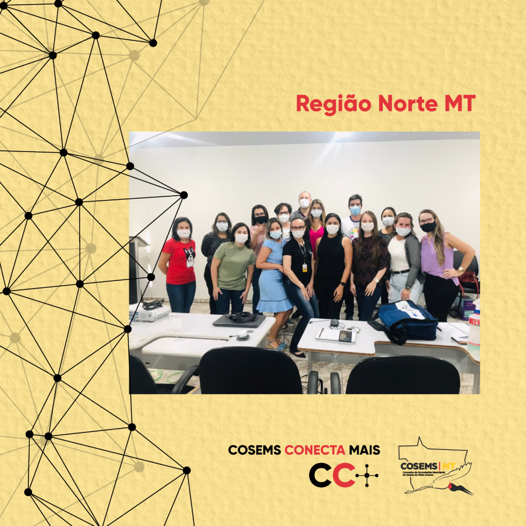 Cosems Conecta Mais Cc Regi O Norte Promove Oficina Presencial